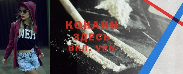 индика Алексин