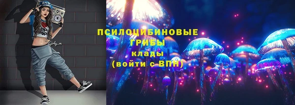 индика Алексин