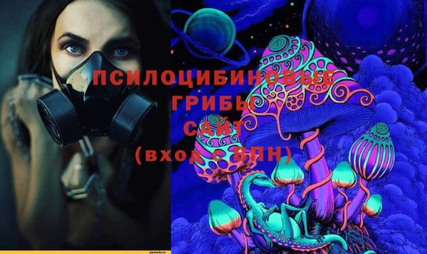индика Алексин