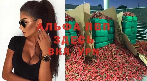 индика Алексин