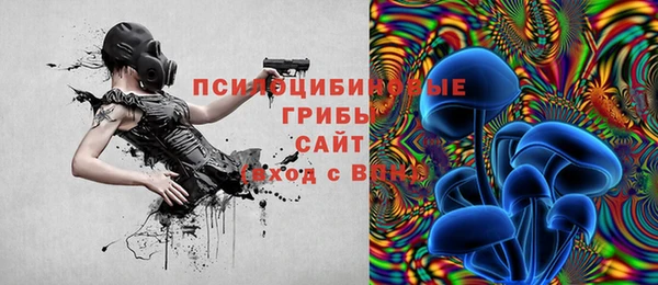 мдпв Алзамай