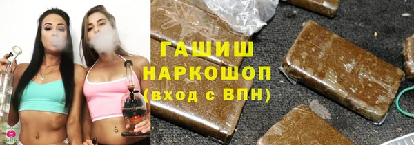 индика Алексин