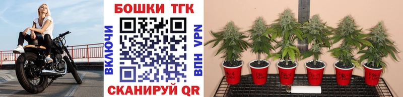 МАРИХУАНА SATIVA & INDICA  Чаплыгин 